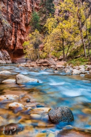 Fall Colors in the Narrows