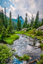 Stream through the Wilderness