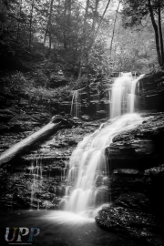 Shawnee Falls